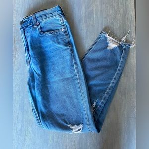 AE American Eagle Mom Jean